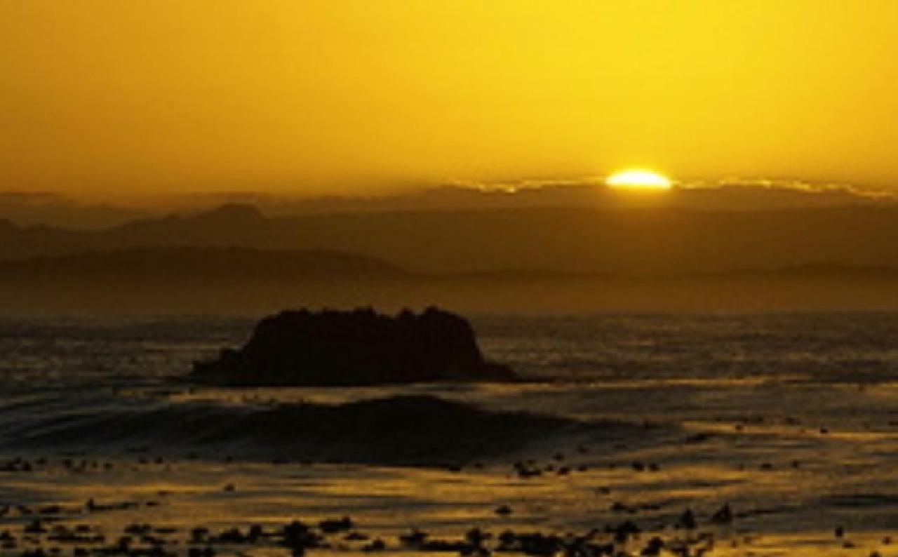 Tassies Villa Gansbaai Bagian luar foto